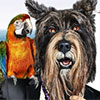 Decouvrez la nouvelle video - Les Sims 3 : Animaux et Cie sur console en compagnie de Trevor (3DS, PS3, Xbox 360, Mac, PC)