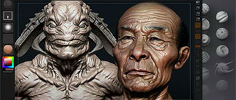 Logiciels 3D et modelisation organique