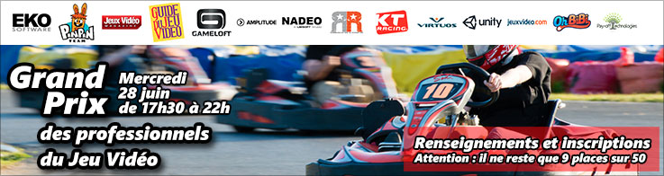 Grand prix de karting des professionnels du jeu vidéo