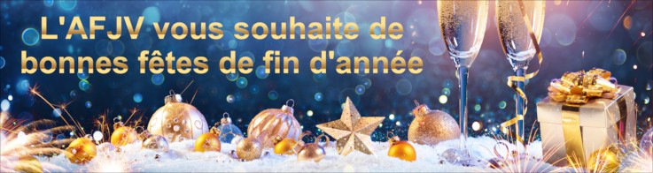 L'AFJV vous souhaite de bonnes fêtes de fin d'année