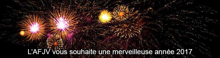 Joyeuses ftes de fin d'anne