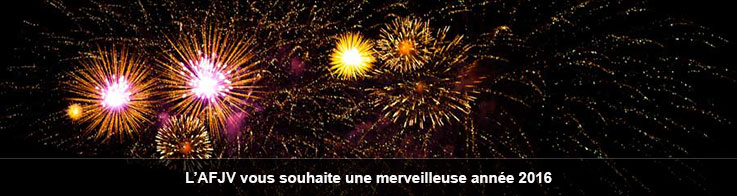 Bonne année 2016