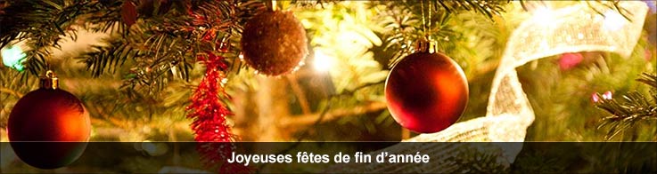 Espace annonceur