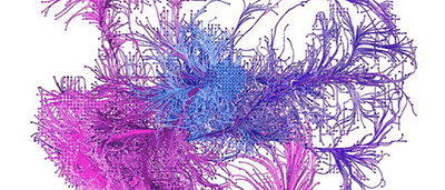 Livre : Comprendre le Deep Learning